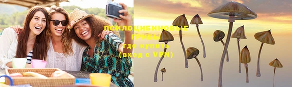 крисы Вяземский