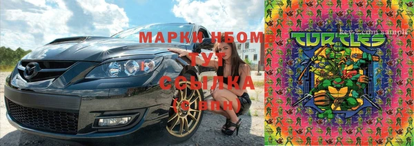 крисы Вязьма