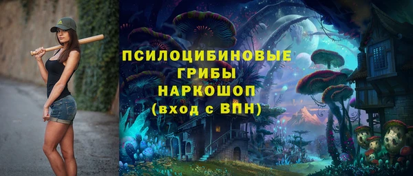 крисы Вязьма