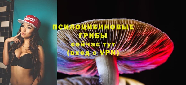 крисы Вязьма