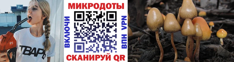 Галлюциногенные грибы Psilocybine cubensis  продажа наркотиков  Карабаново 